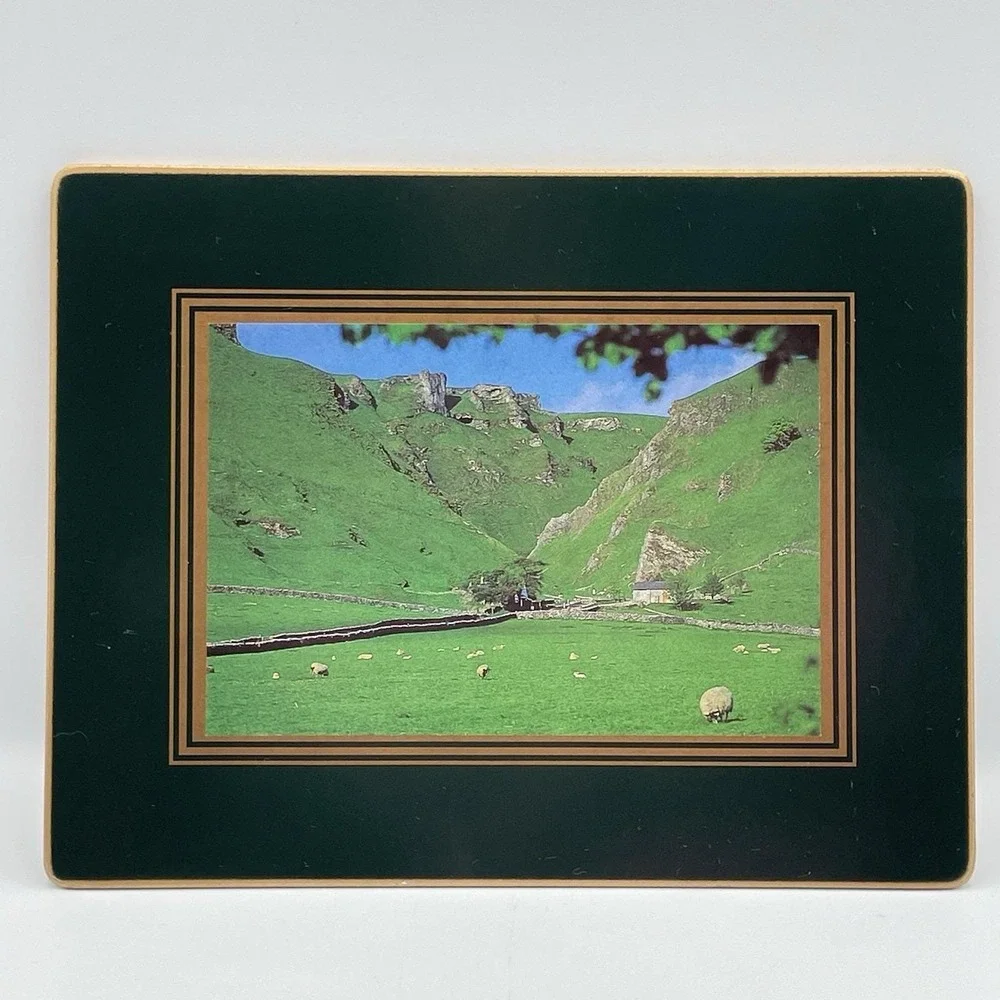 Vintage 1990s Hedgerow Derbyshire England‎ Cork Back Placemats Set of 5